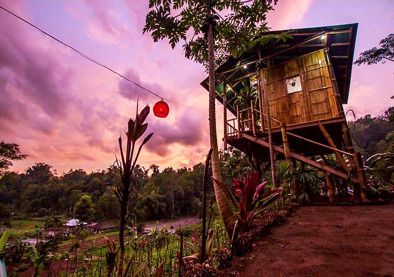 Bali Tree House Pelangi Apartment เบอดูกูล ภายนอก รูปภาพ