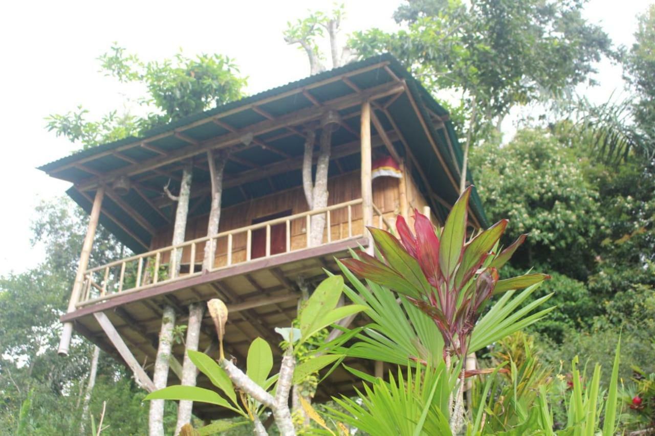 Bali Tree House Pelangi Apartment เบอดูกูล ภายนอก รูปภาพ