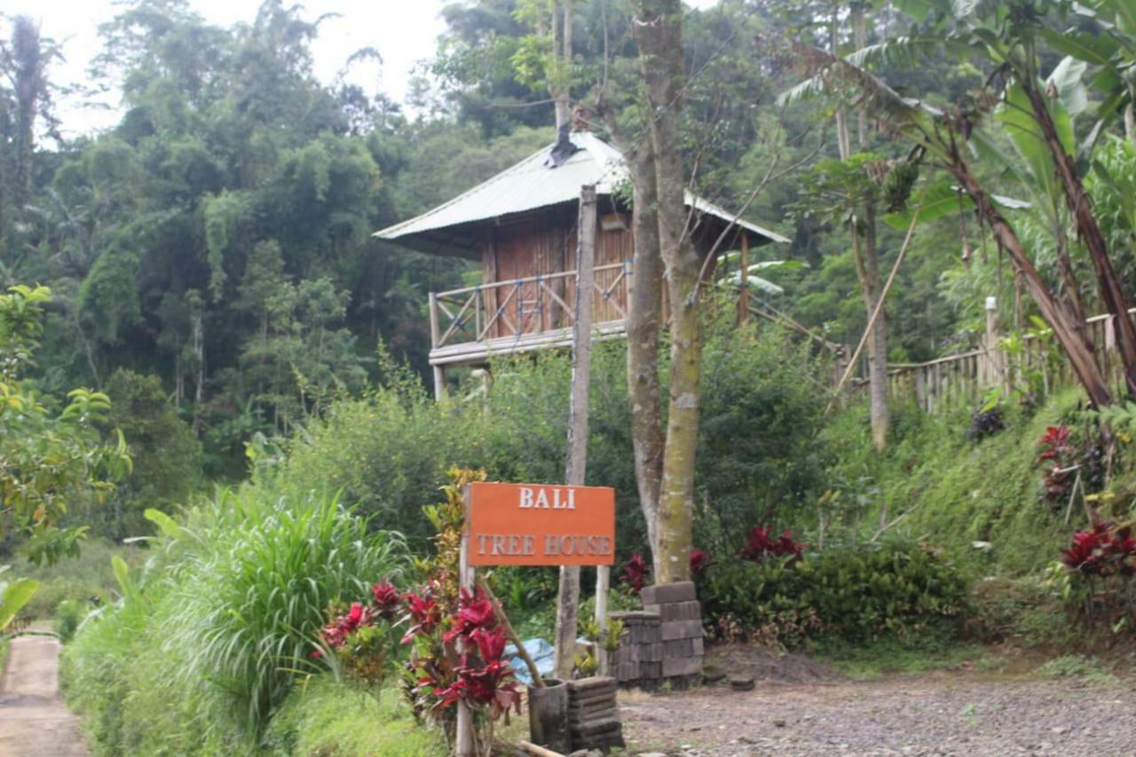 Bali Tree House Pelangi Apartment เบอดูกูล ภายนอก รูปภาพ