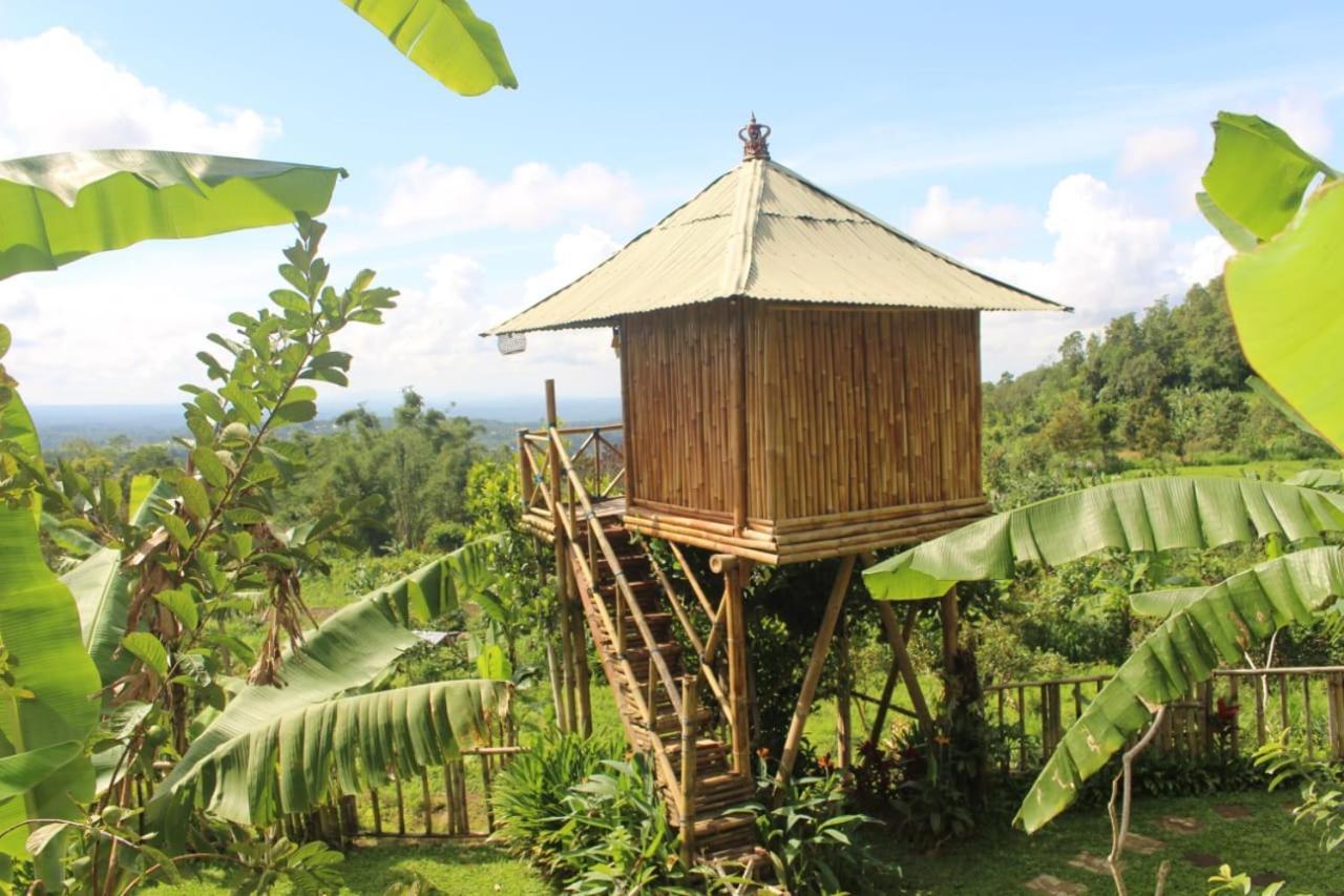 Bali Tree House Pelangi Apartment เบอดูกูล ภายนอก รูปภาพ